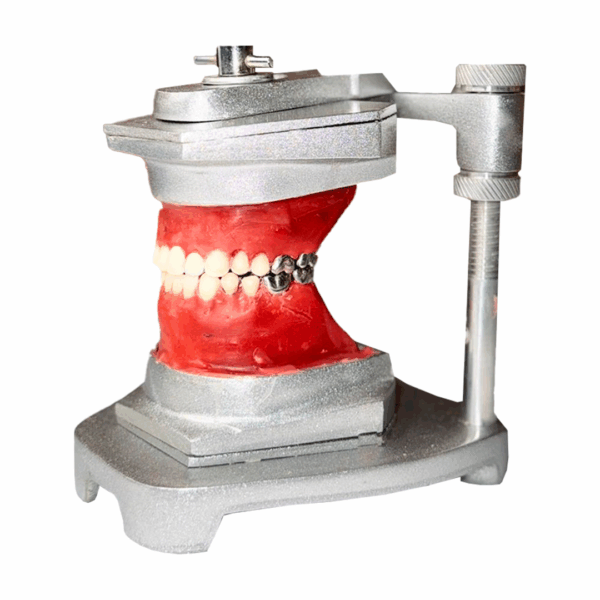ARTICULADOR DE METAL + BOCA DE CERA + DIENTES DE METAL (CLASE I)
